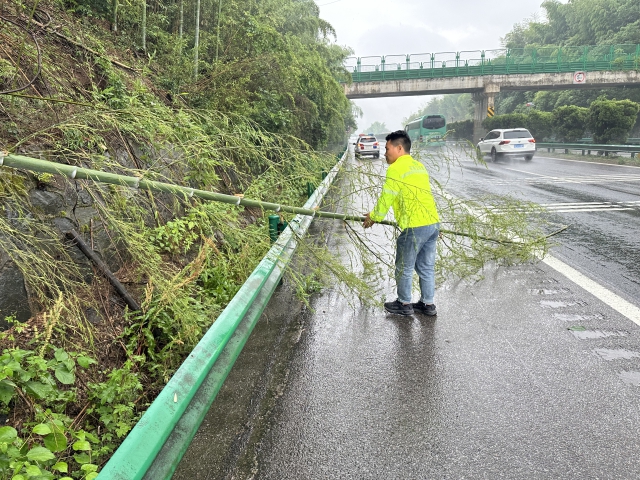 1718967091308400.jpg 宣广公司广德分中心清理汛期树木倒伏.JPG
