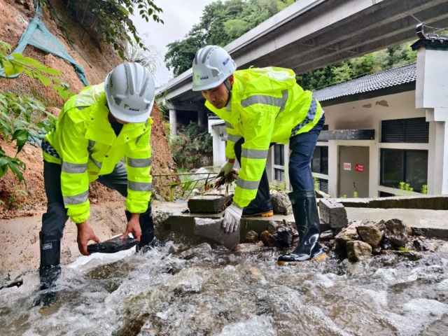 1719987268112911.jpg 2.jpg