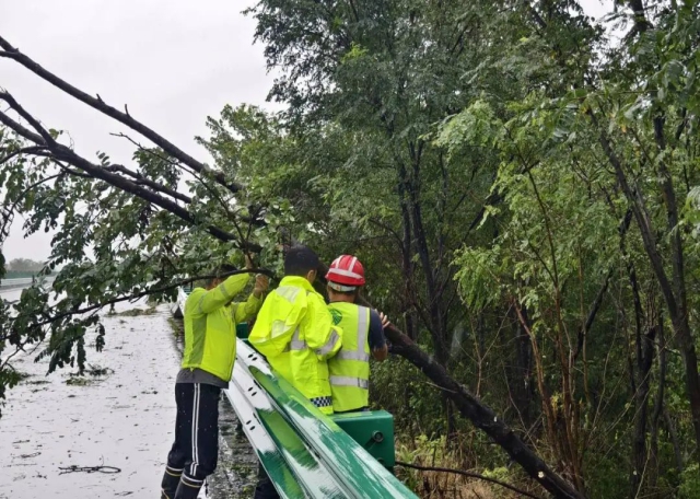 1719987365565735.jpg 7.jpg