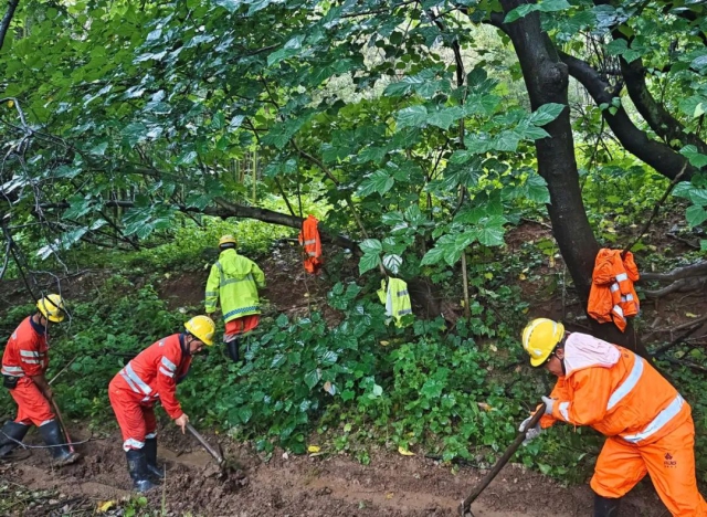 1719987426898355.jpg 11.jpg