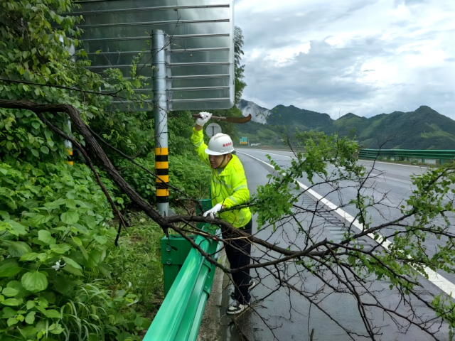 1721049808862586.png 01.png